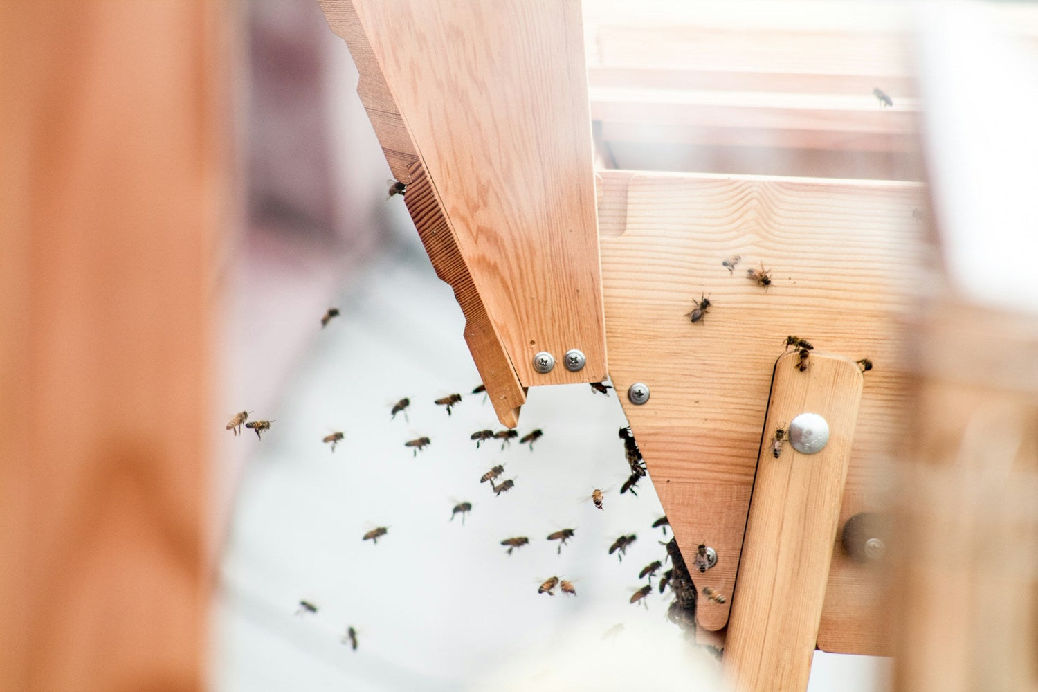 Bee’s Knees