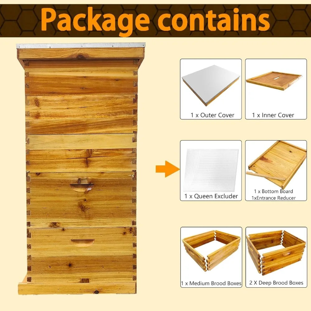 Hign-concerned Beekeeping 5 Layer Hive Kit With Deep Boxes