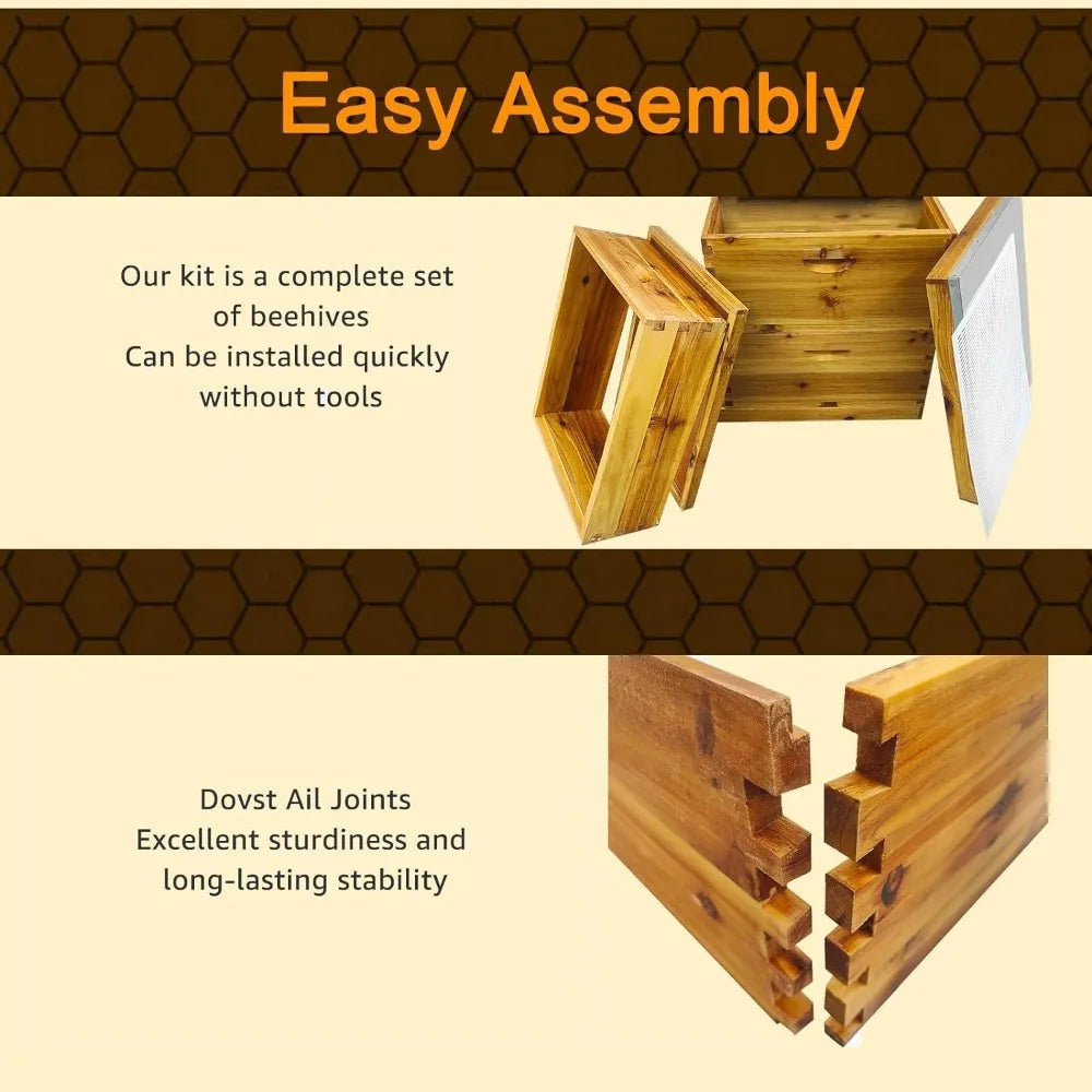 Hign-concerned Beekeeping 5 Layer Hive Kit With Deep Boxes