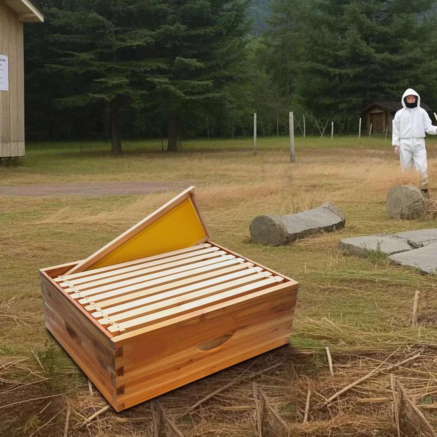 Hign Concerned Wax Coated Langstroth Bee Box With Frames