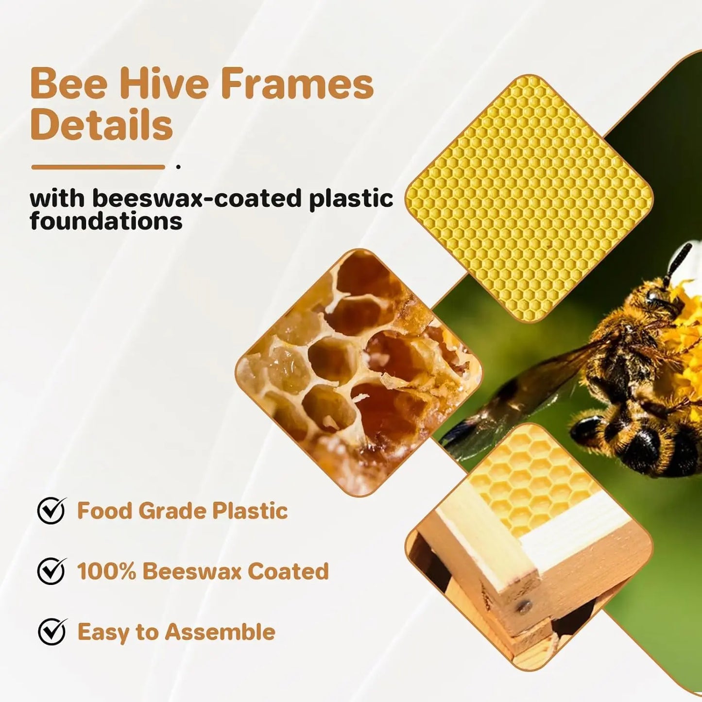 Hign Concerned Wax Coated Langstroth Bee Box With Frames