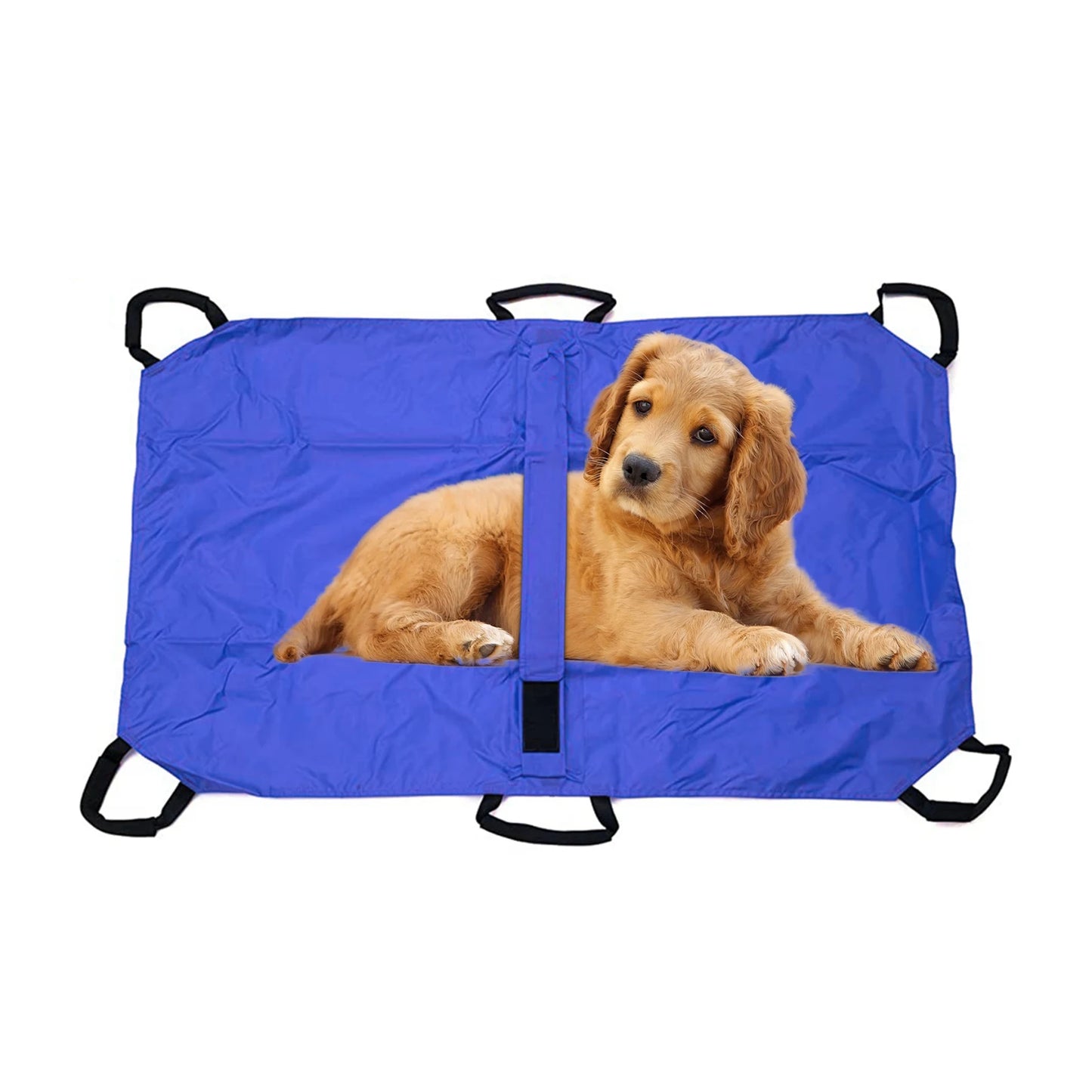 Foldable Pet Transport Stretcher With Six Handles And Safety