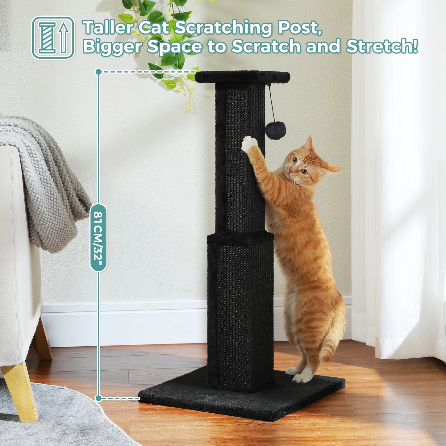 PAWZ Road Cat Scratching Post With Sisal Ball Toy Indoor