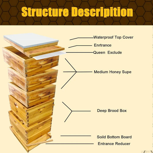 Hign-concerned Beekeeping 5 Layer Hive Kit With Deep Boxes