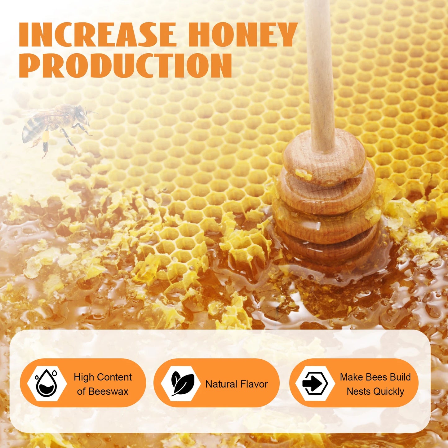 Hign-concerned 30 Pack Beeswax Foundations Beekeeping Kit