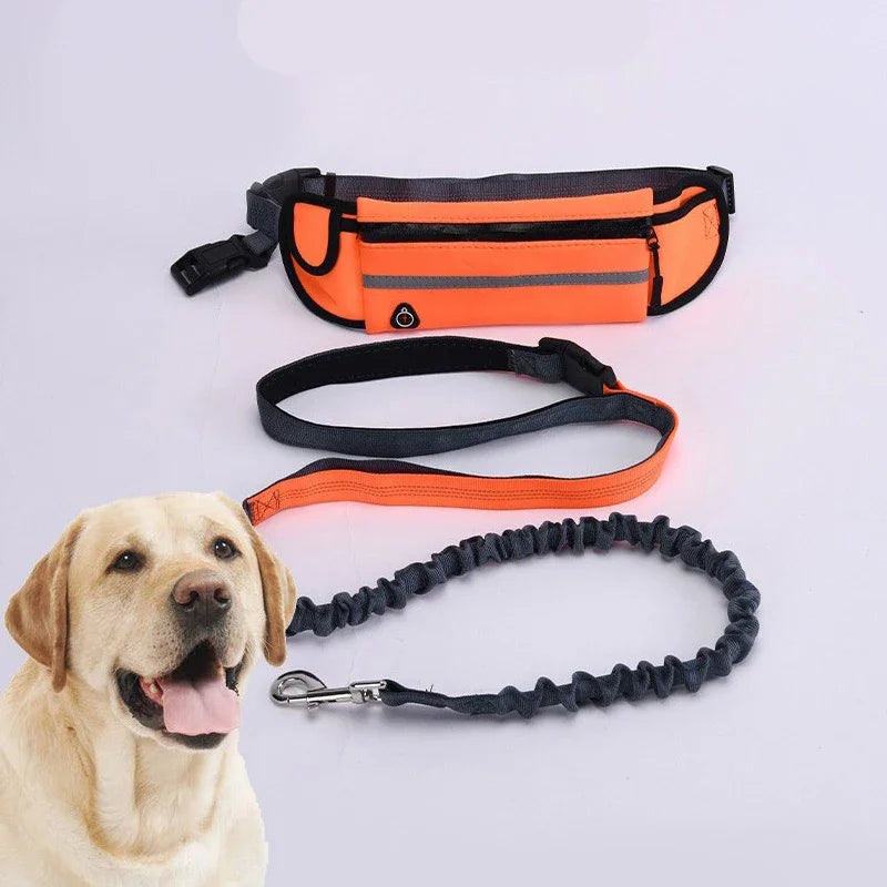 Booteely Hands Free Reflective Dog Leash With Waist Bag