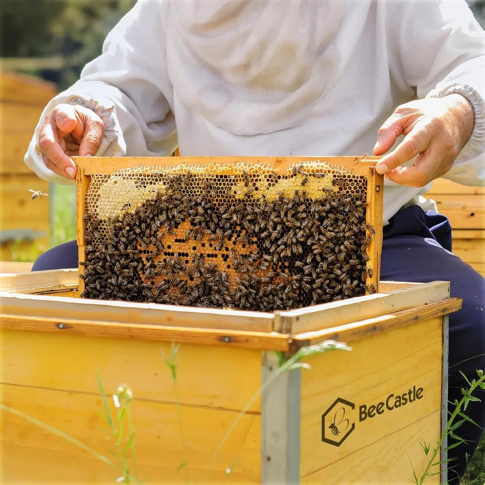 XMSJ Beehive Frames With Waxed Foundation Unassembled
