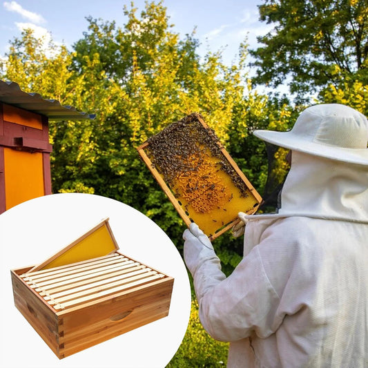 Hign Concerned Wax Coated Langstroth Bee Box With Frames