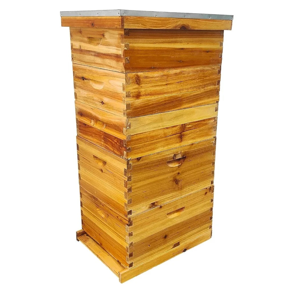Hign-concerned Beekeeping 5 Layer Hive Kit With Deep Boxes
