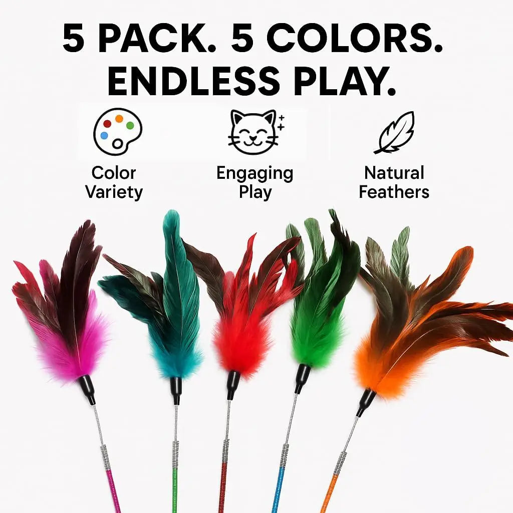 Cat Feather Wand Toy 5 Piece Interactive Set For Cats
