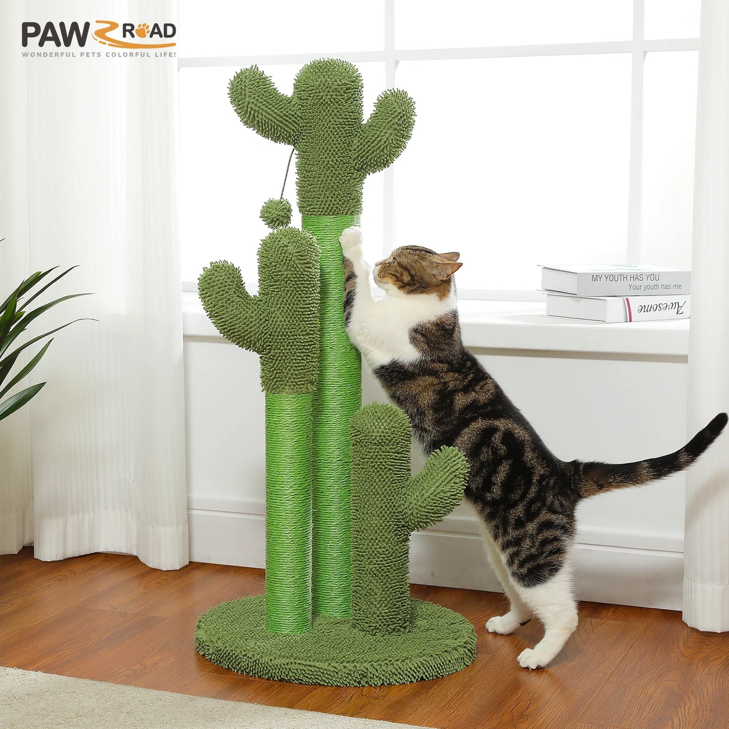 PEQULTICN Cactus Cat Tree With Condo And Hammock For Indoor