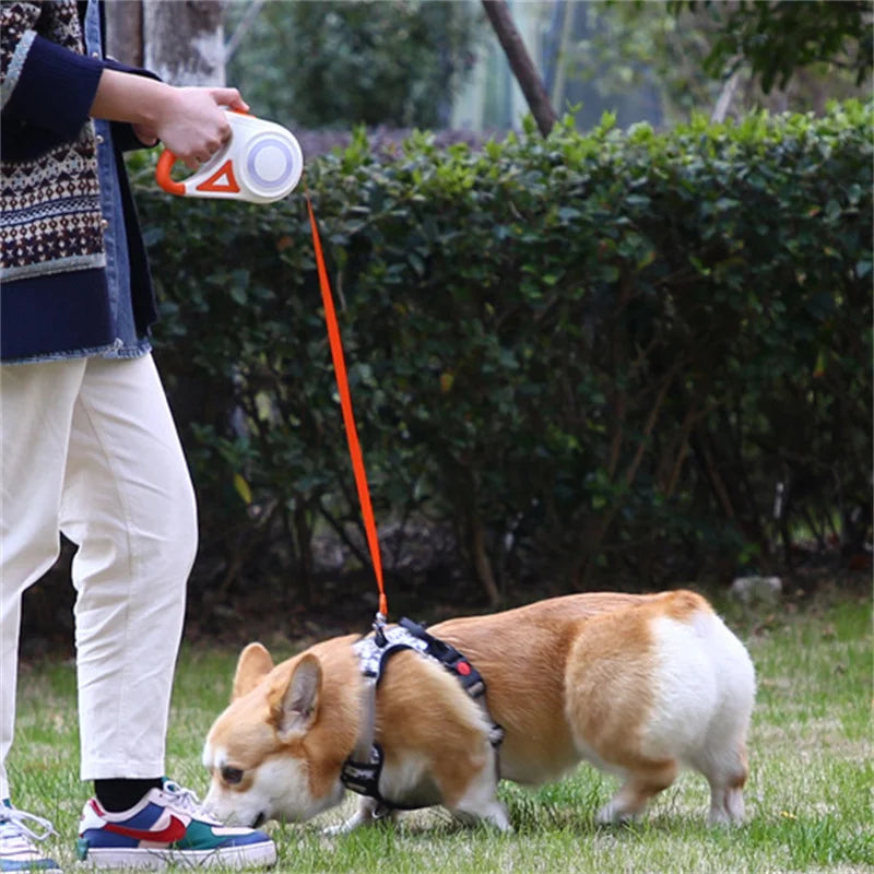 Booteely Automatic Retractable Dog Leash With Flashlight