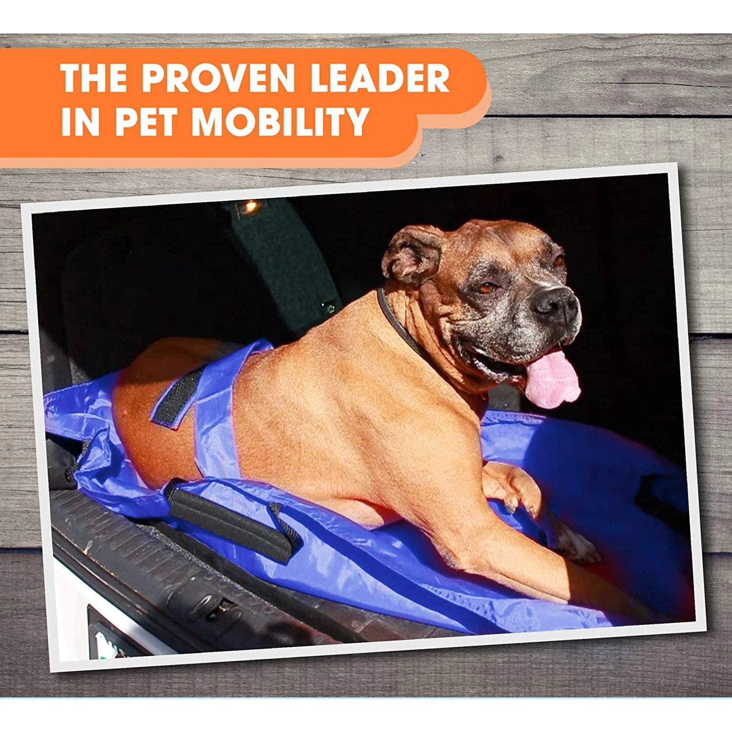 Foldable Pet Transport Stretcher With Six Handles And Safety