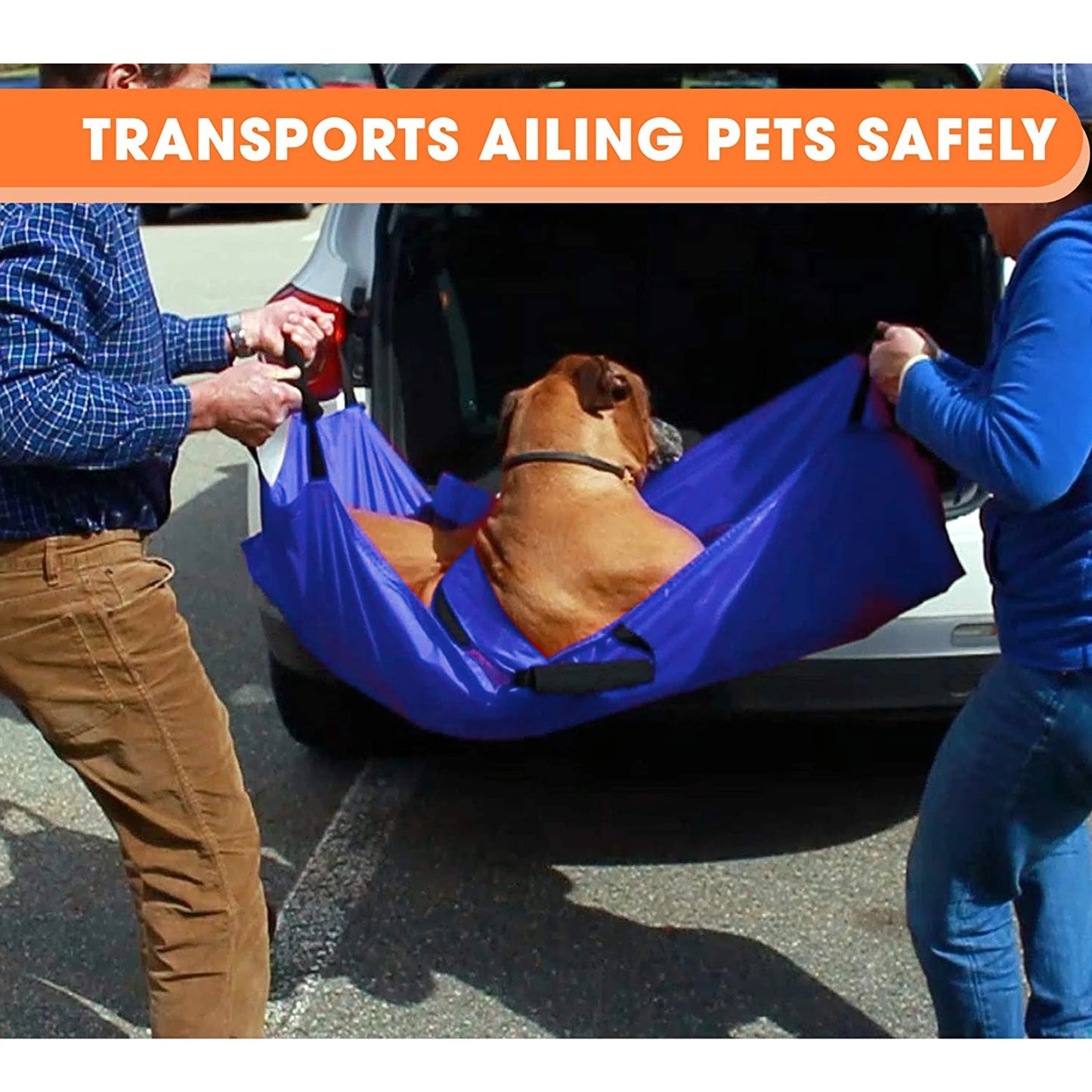 Foldable Pet Transport Stretcher With Six Handles And Safety