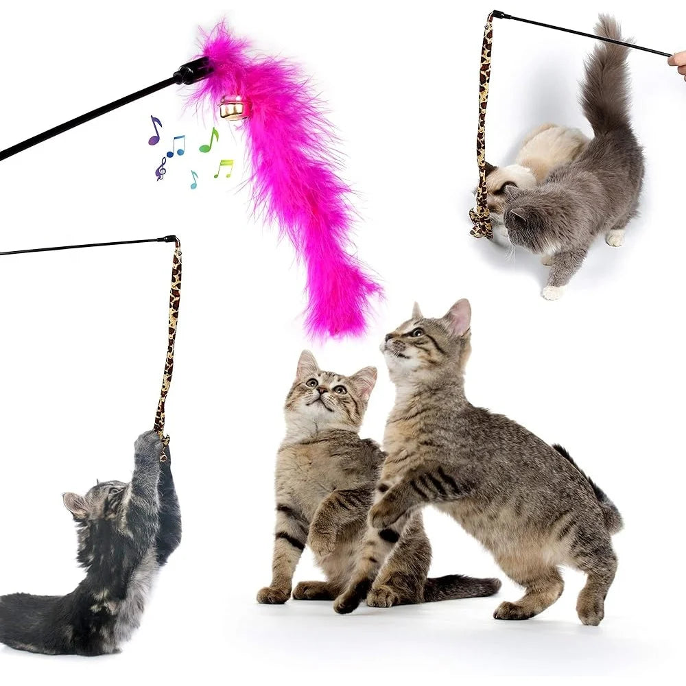 Fujian Cat Toy Set Interactive Kitten Play Assortment