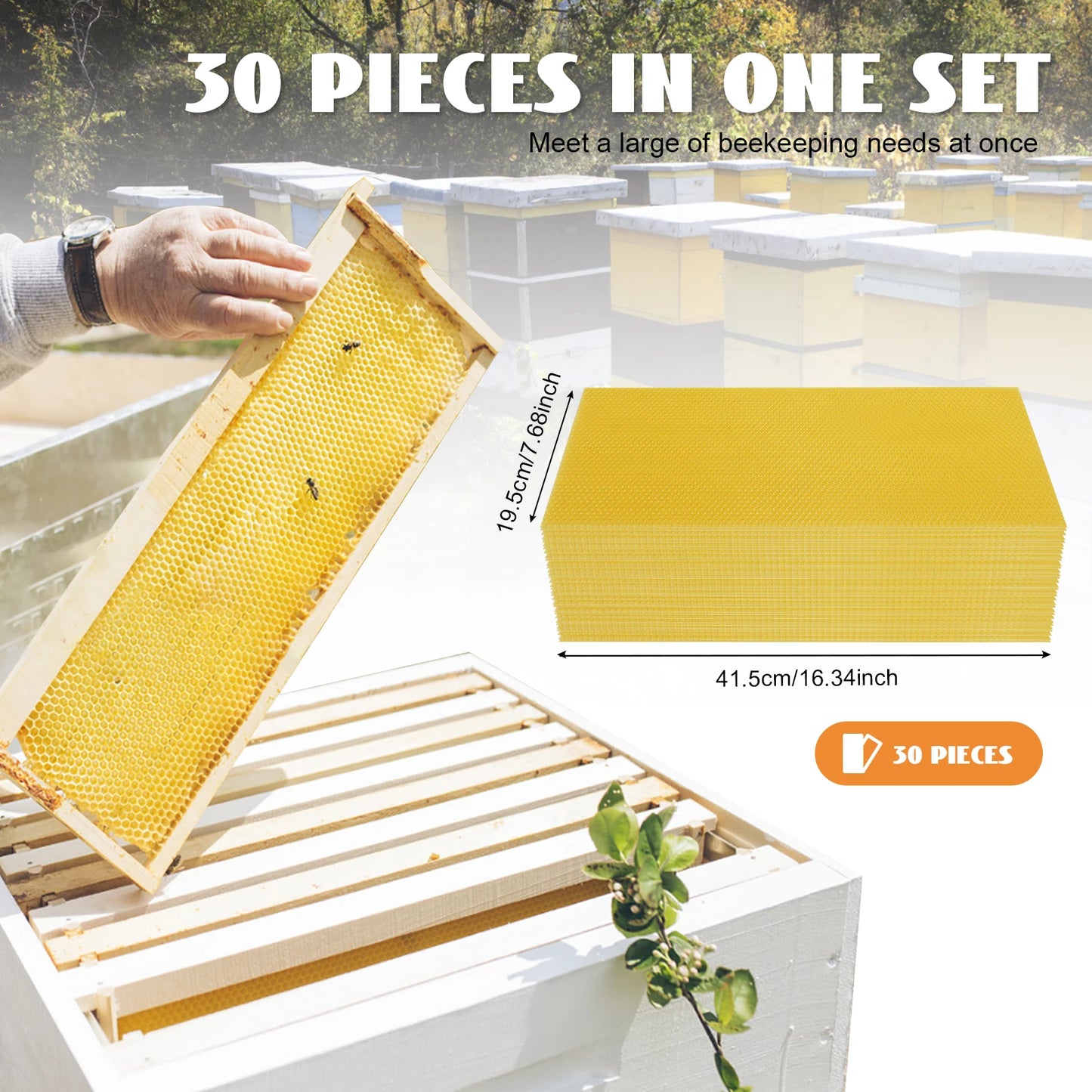Hign-concerned 30 Pack Beeswax Foundations Beekeeping Kit