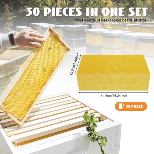 Hign-concerned 30 Pack Beeswax Foundations Beekeeping Kit