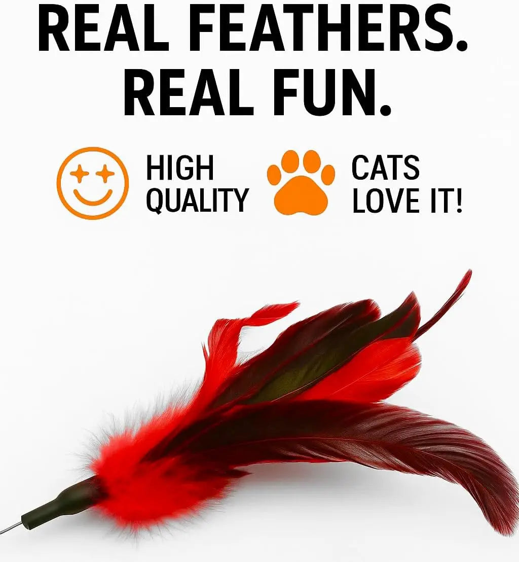 Cat Feather Wand Toy 5 Piece Interactive Set For Cats