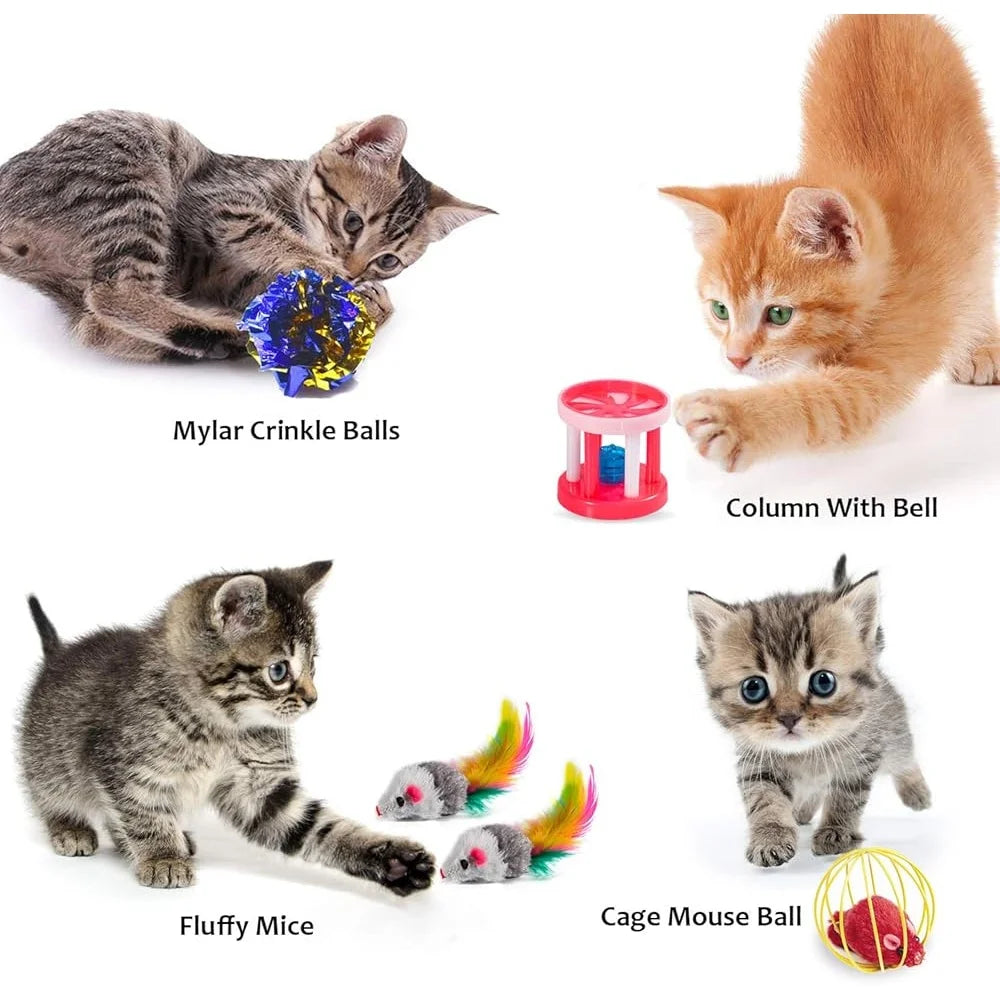 Fujian Cat Toy Set Interactive Kitten Play Assortment