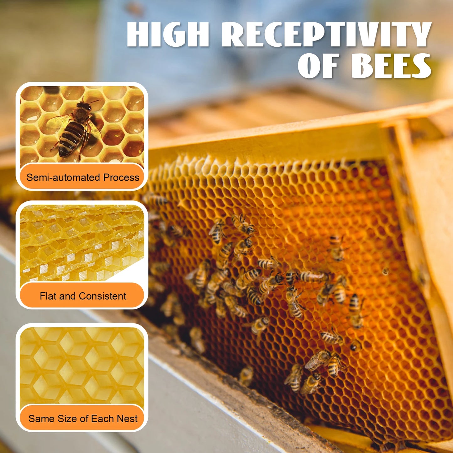Hign-concerned 30 Pack Beeswax Foundations Beekeeping Kit