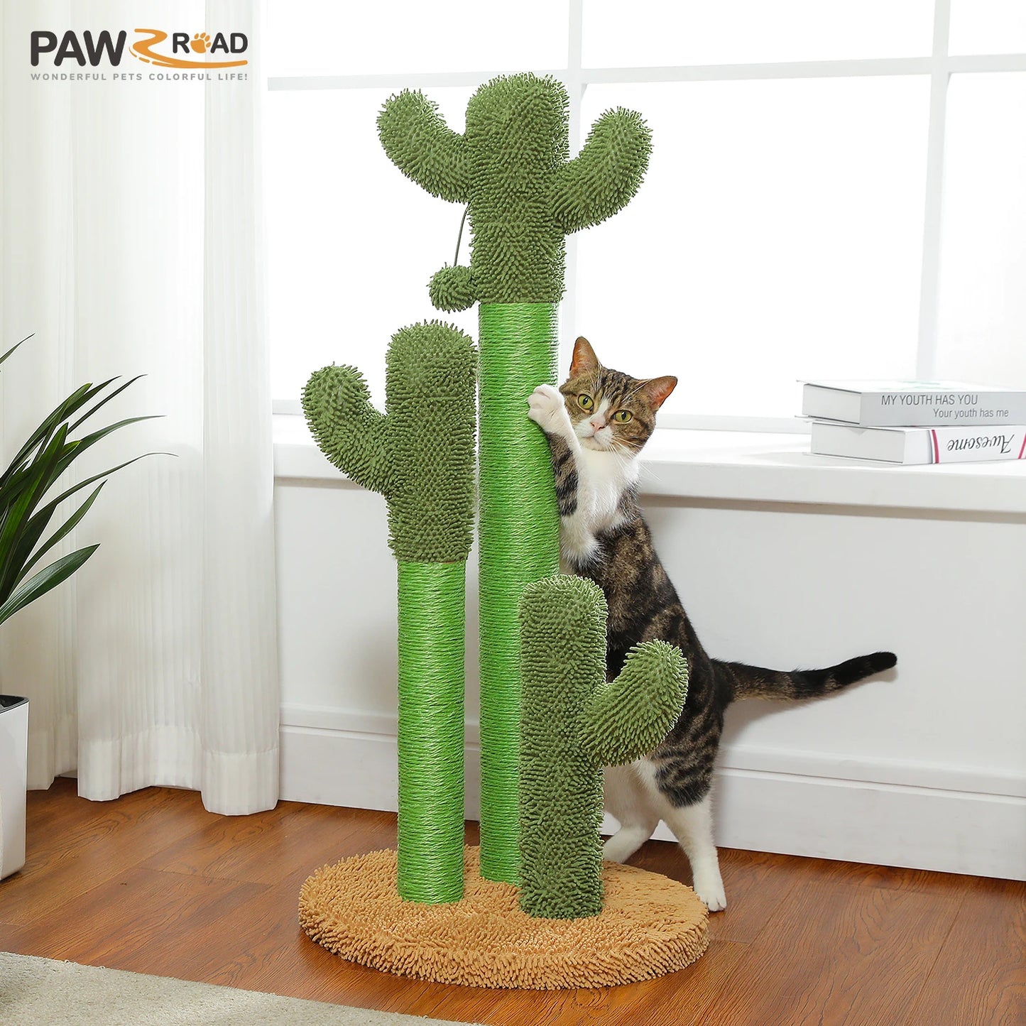 PEQULTICN Cactus Cat Tree With Condo And Hammock For Indoor